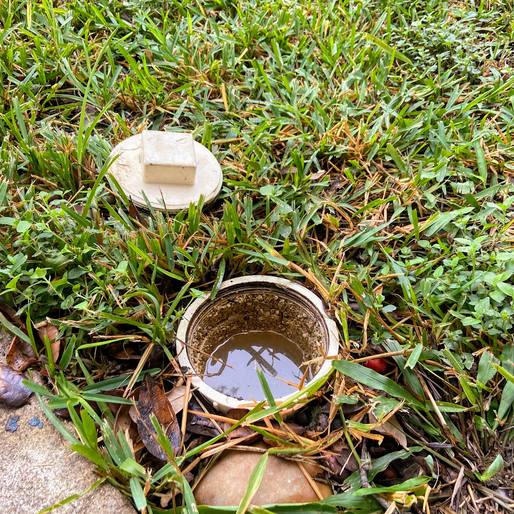 main sewer line clogged