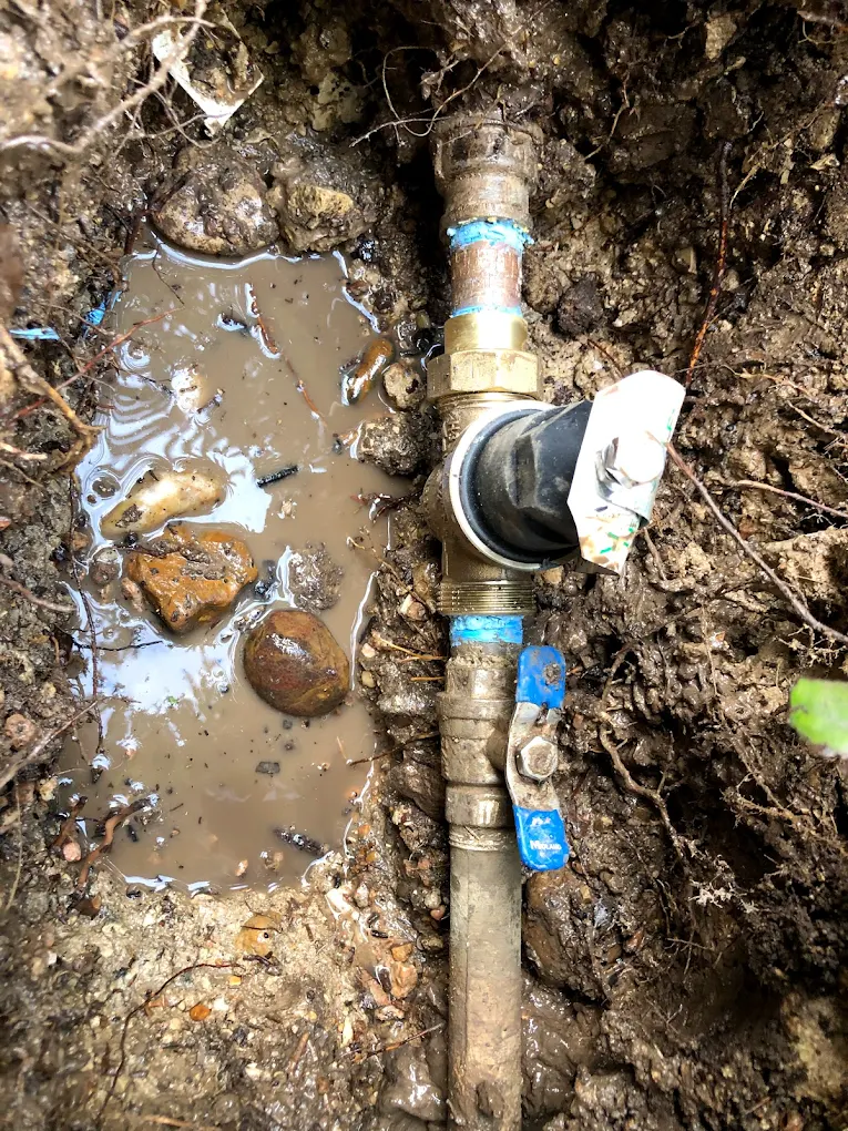 sewer and drain